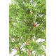 Eucalyptus Plast Artificiel arbre 150 à 210 cm