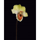 ORCHIDEE ladies slipper artificielle ou Cypripedioideae artificiel 4 cm