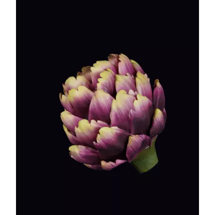 ARTICHAUT artificiel 14 cm