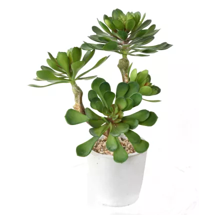 SUCCULENTES artificielles  30 cm en pot