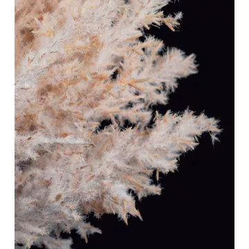 HERBE DE PAMPA artificielle bouquet 36 cm détails