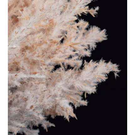 HERBE DE PAMPA artificielle bouquet 36 cm détails