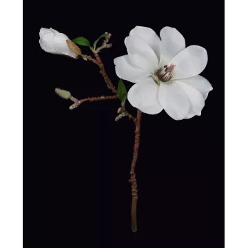 MAGNOLIA artificiel 37 cm blanc