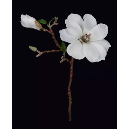 MAGNOLIA artificiel 37 cm blanc