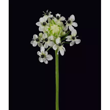 ornithogalum arabicum ou étoile de béthléem artificiel 72 cm