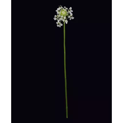 ornithogalum arabicum ou étoile de béthléem artificiel 72 cm en tige