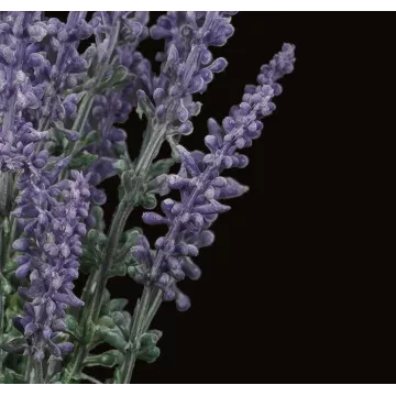 Bouquet de LAVANDE artificielle 24 cm