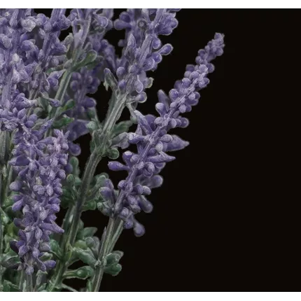 Bouquet de LAVANDE artificielle 24 cm
