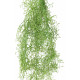 TILLANDSIA PLAST artificielle 90 cm vert/brun