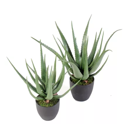 ALOEVERA artificiel 60 et 70 cm
