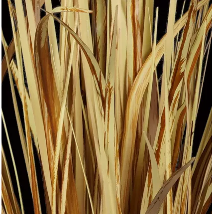 feuilles FAGOT roseau des sables artificielle 62 cm aspect sec