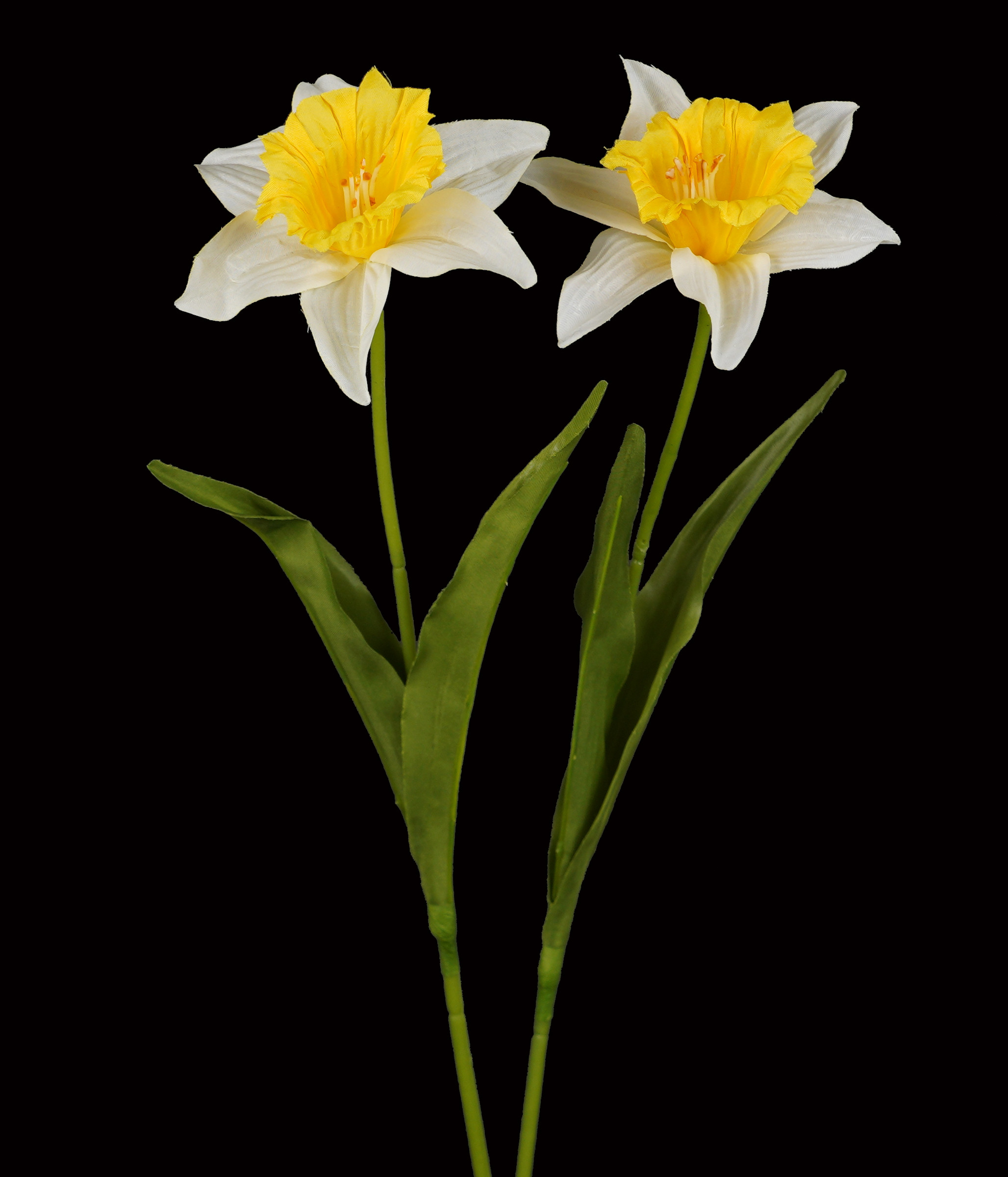 Jonquilles artificielles 60 cm (vendu par 2) - fleurs printanières  artificielles | Reflets Nature