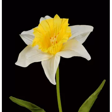 fleur JONQUILLES artificielles 60 cm