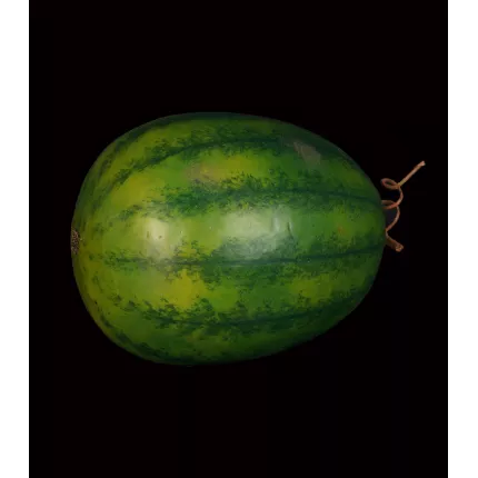 PASTEQUE artificielle 26 cm de dos