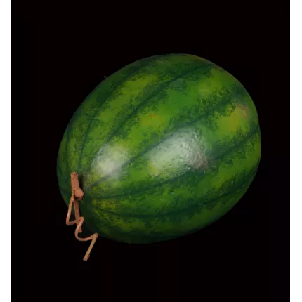 PASTEQUE artificielle 26 cm de coté