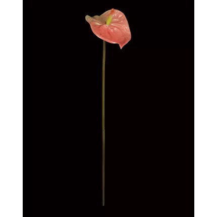 ANTHURIUM artificiel 69 cm