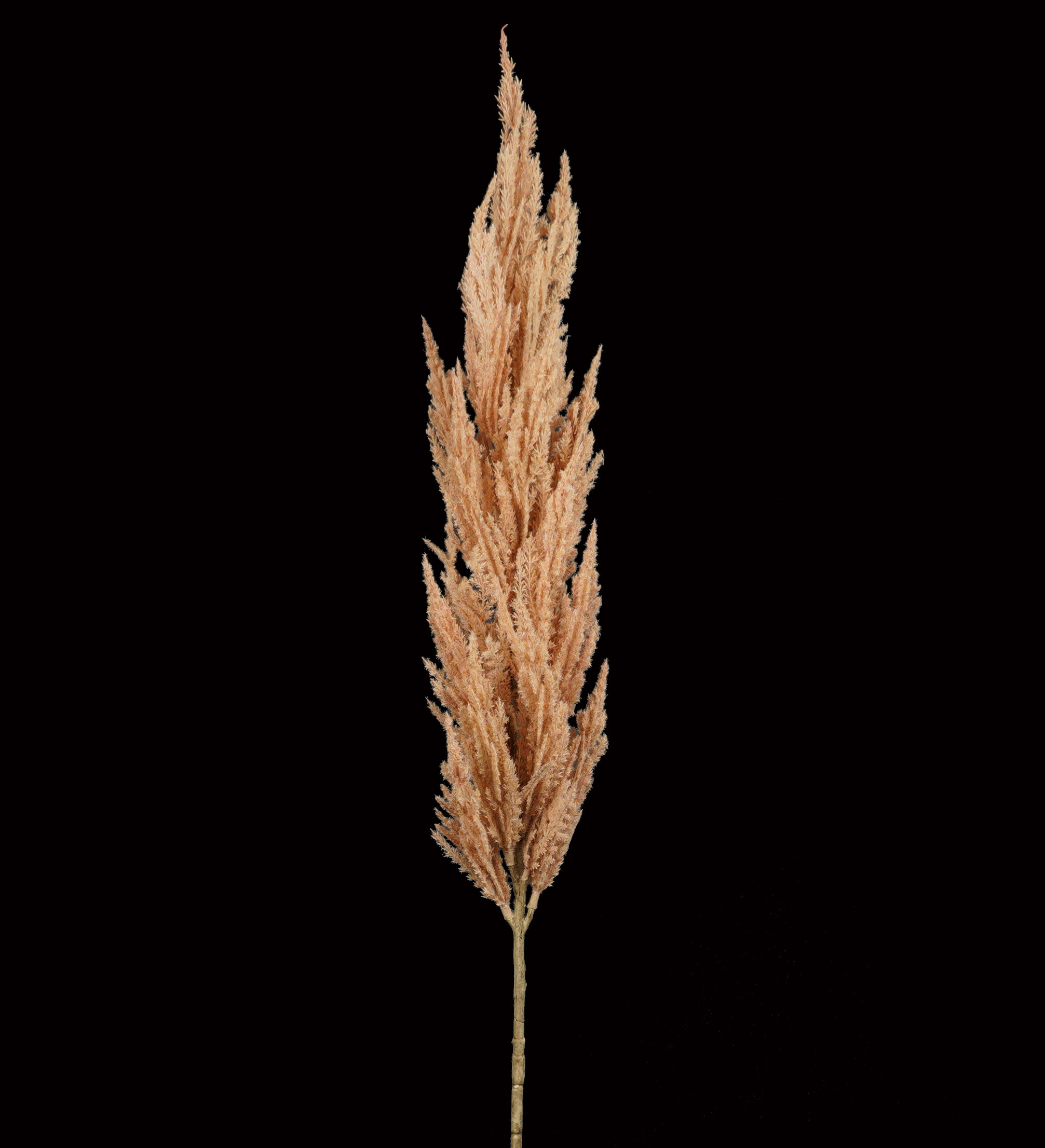 Herbe de pampa artificielle 82 cm et 118 cm esprit sec - graminées et  papyrus | Reflets Nature