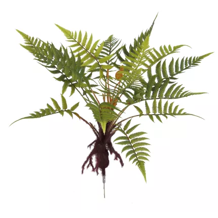 FOUGERE artificielle mexicaine sur racine 45 cm vu de dessus