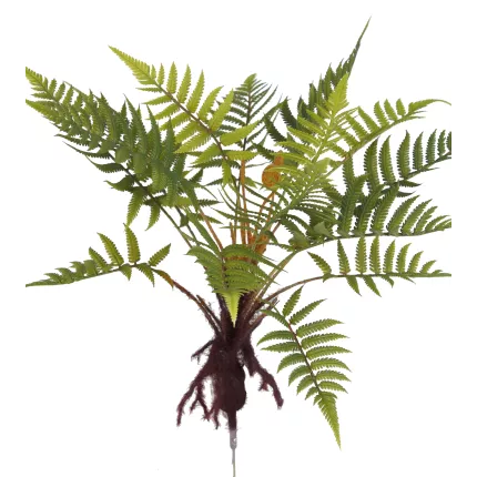 FOUGERE artificielle mexicaine sur racine 45 cm