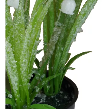 détails MUGUET artificiel givré en pot 21 cm