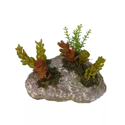 SUCCULENTES artificielles sur rocaille 16 cm modèle A