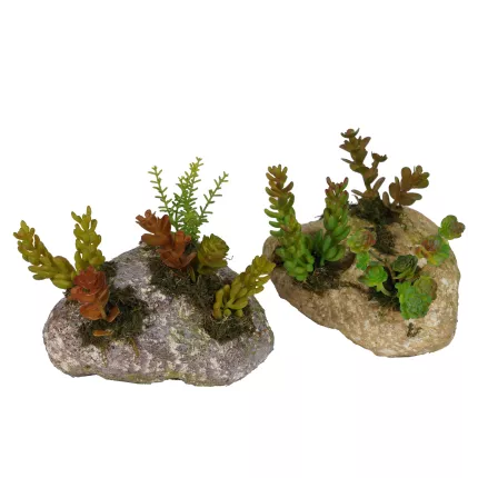 SUCCULENTES artificielles sur rocaille 16 cm de face