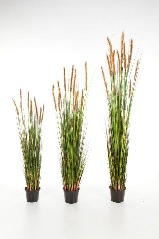 Grandes herbes artificielles plumeau brun 120 à 180 cm - graminées  artificielles + de 60cm | Reflets Nature