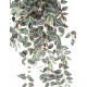 TRADESCANTIA artificiel vert violet 70 et 110 cm