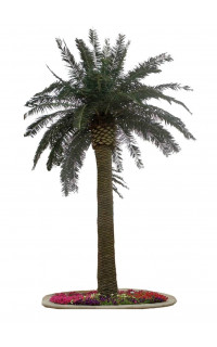 palmier ROYAL artificiel tronc large 530 cm