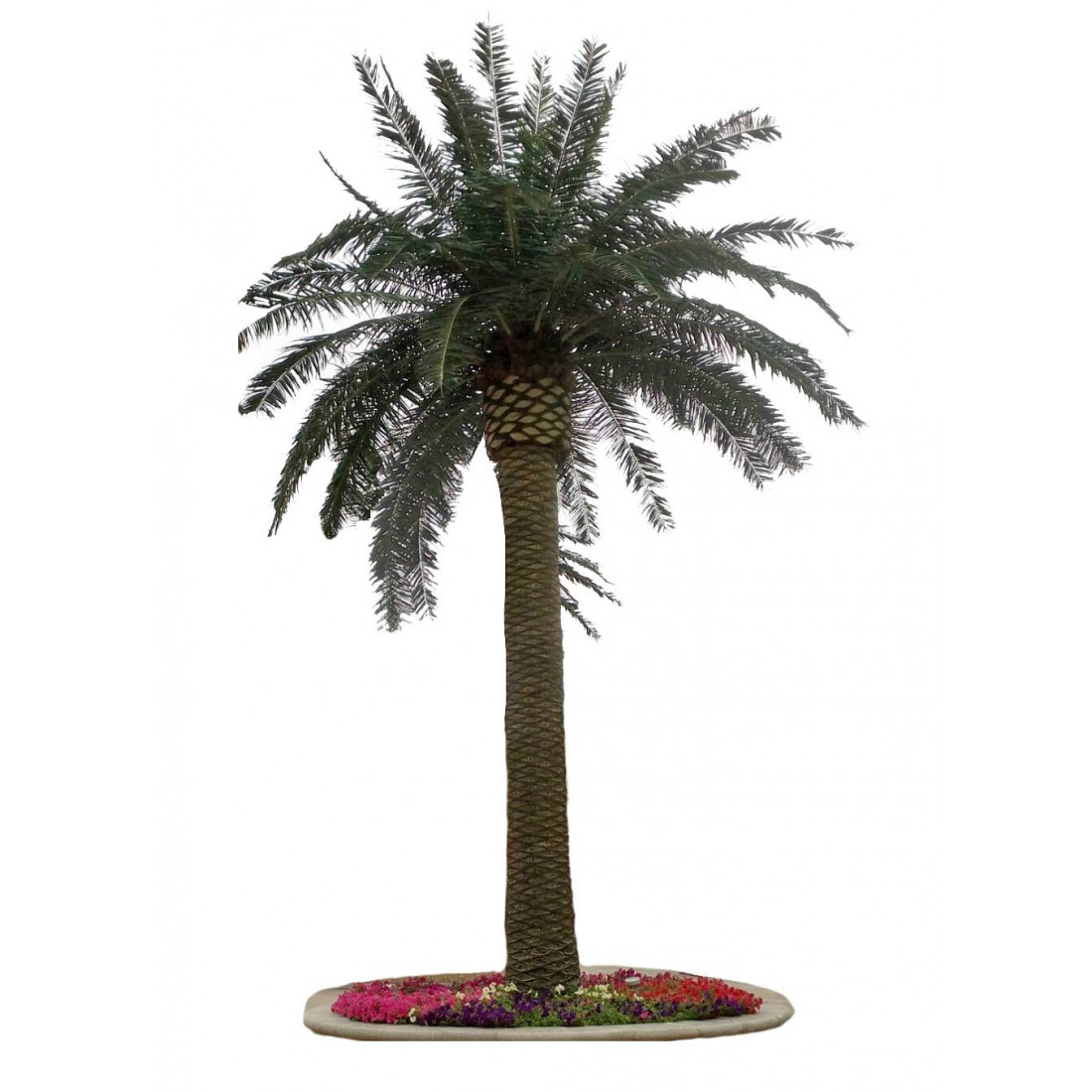 Palmier royal artificiel tronc large 530 cm - palmiers artificiels |  Reflets Nature