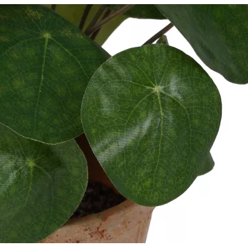 feuilles PILEA artificiel  22 cm en pot