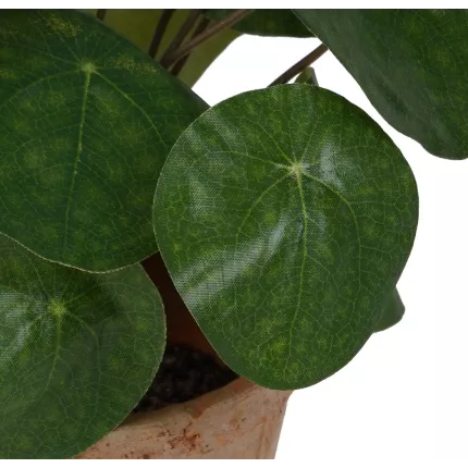 feuilles PILEA artificiel  22 cm en pot