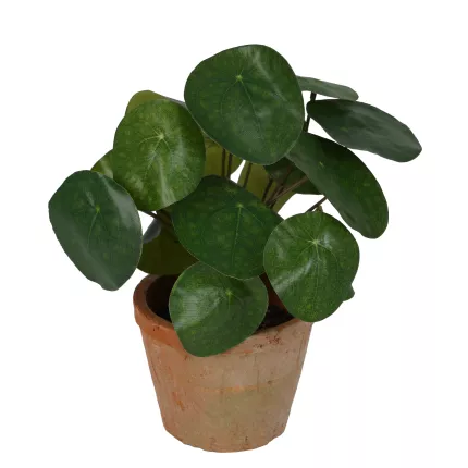 PILEA artificiel  22 cm en pot
