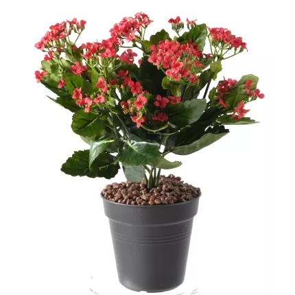 KALANCHOE artificiel 30 cm rouge en pot