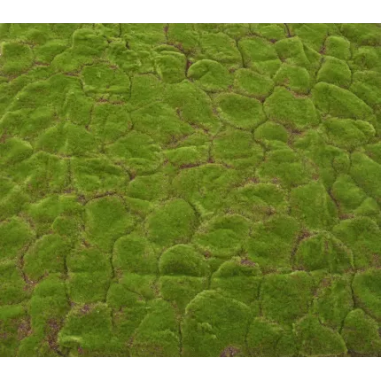 détails Plaque de mousse artificielle 100cm x 100cm