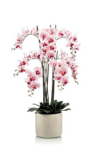 composition Phalaenopsis ORCHIDEE artificielle en pot 100 cm