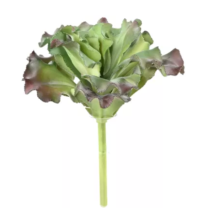 SUCCULENTE artificielle diam 17 cm avec sa tige