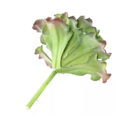 SUCCULENTE artificielle diam 17 cm vu par dessous