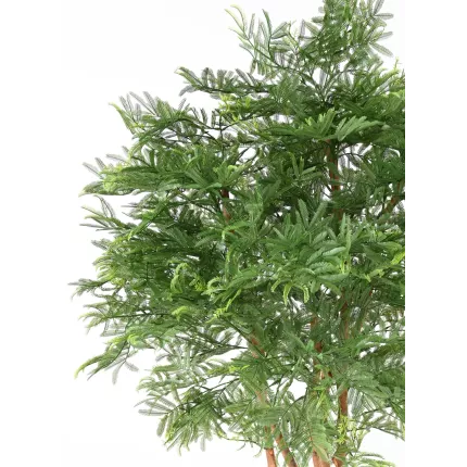 feuilles MIMOSA artificiel (Tamarin) 170 cm uv