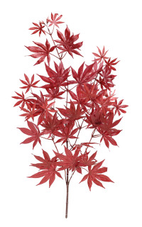 branche artificielle ERABLE 70 cm rouge automne (Aralia)