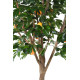 ORANGER artificiel arbre 250 cm