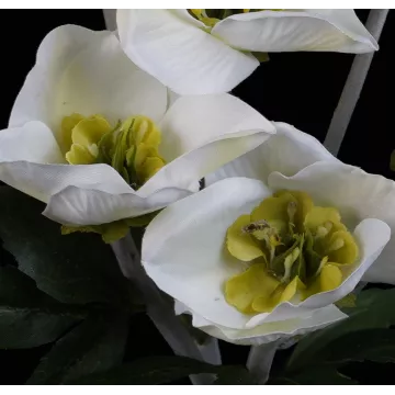 fleurs Hellebore artificielle en botte 39 cm