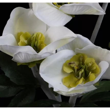 fleurs Hellebore artificielle en botte 39 cm