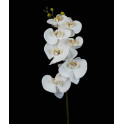 Orchidée PHALAENOPSIS artificielle 82 cm