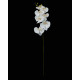 Orchidée PHALAENOPSIS artificielle 82 cm