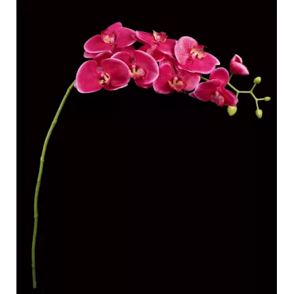 ORCHIDEE artificielle 97 cm retombante fushia