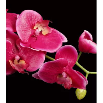 fleurs ORCHIDEE artificielle 97 cm retombante