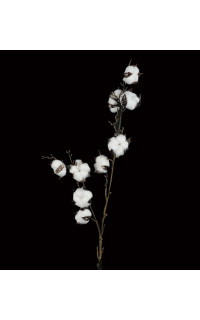 Fleurs de coton artificielle 96 cm