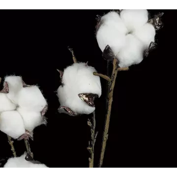 Fleurs de coton artificielle 96 cm détails