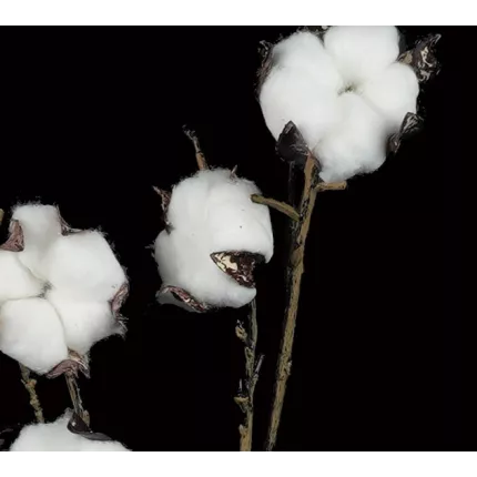 Fleurs de coton artificielle 96 cm détails